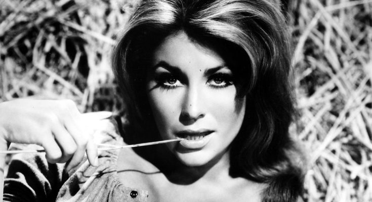 Michele Carey